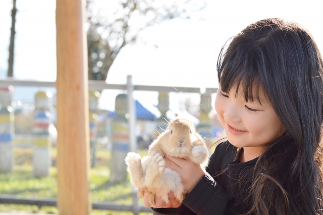 暴れるうさぎも抱っこ好きになる方法【練習の仕方が大事】