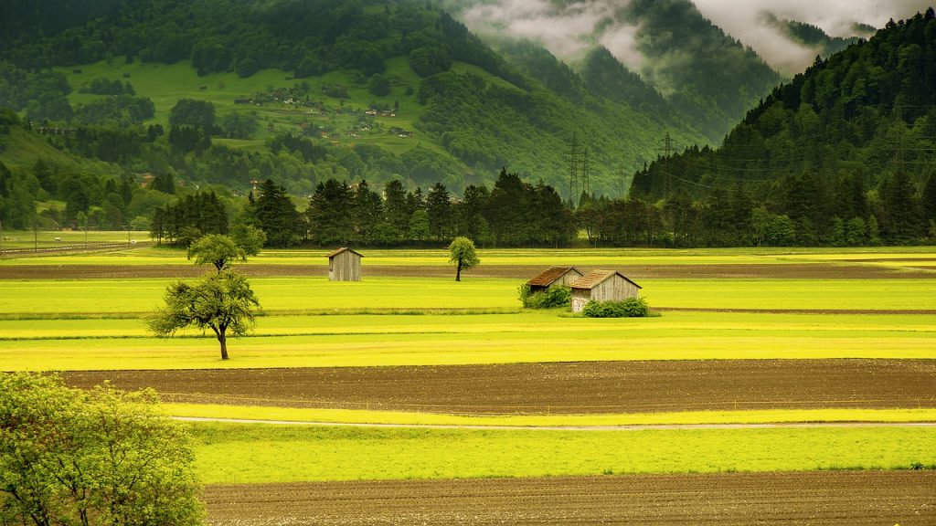 牧草地