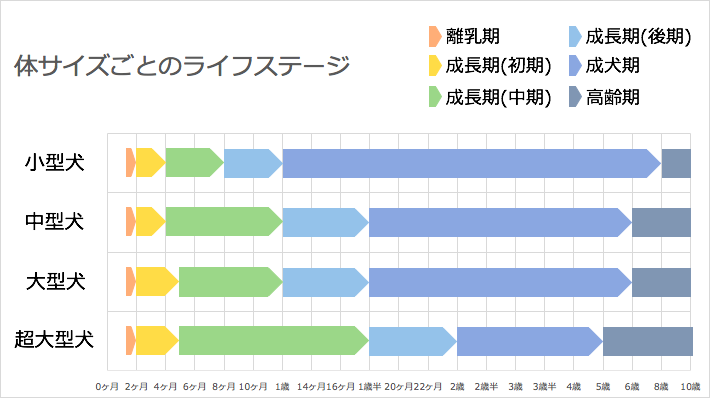 犬のライフステージ